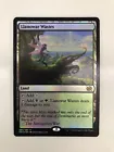 Llanowar Wastes #