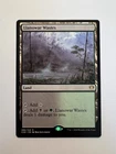 Llanowar Wastes