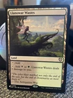 Llanowar Wastes