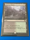 Llanowar Wastes