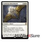 Luminous Broodmoth [Borderless Foil] #