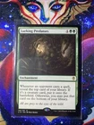 Lurking Predators