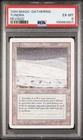 Tundra Wolves