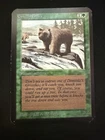 Grizzly Bears