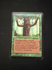 Ironroot Treefolk