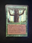 Ironroot Treefolk