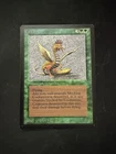 Cockatrice