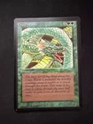 Craw Wurm