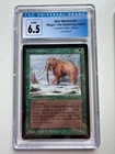 War Mammoth
