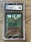 Kudzu