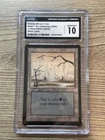 Swamp