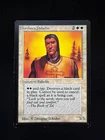 Northern Paladin