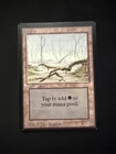 Swamp