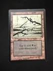 Swamp