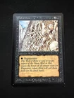 Wall of Bone