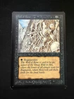 Wall of Bone