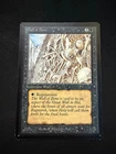 Wall of Bone