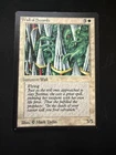 Wall of Swords