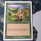 Wild Growth