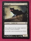 Black Cat