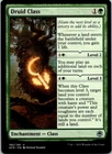 Druid Class
