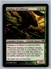Sapling of Colfenor