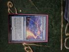 Fierce Guardianship [Foil] #