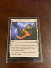 Evolving Wilds