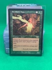 Seedborn Muse