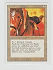 Jandor's Saddlebags