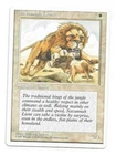 Savannah Lions