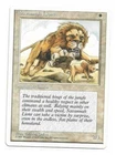 Savannah Lions