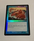 Giant Octopus