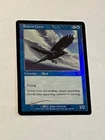 Storm Crow