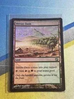 Shivan Oasis