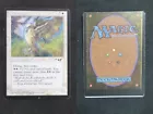 Wild Aesthir