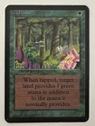 Wild Growth