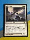 Herald of War