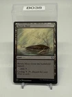 Barren Moor #