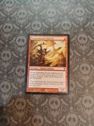 Dragonmaster Outcast