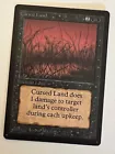 Cursed Land
