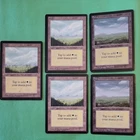 Plains
