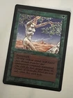 Shanodin Dryads