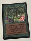 Wild Growth