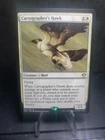 Cartographer's Hawk #