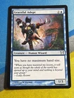 Graceful Adept