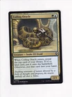 Coiling Oracle #