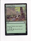 Tranquil Thicket