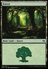 Forest #