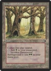 Havenwood Battleground